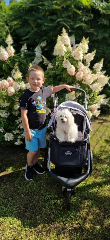 Ulvi2016 uploaded   254  day/s  ago