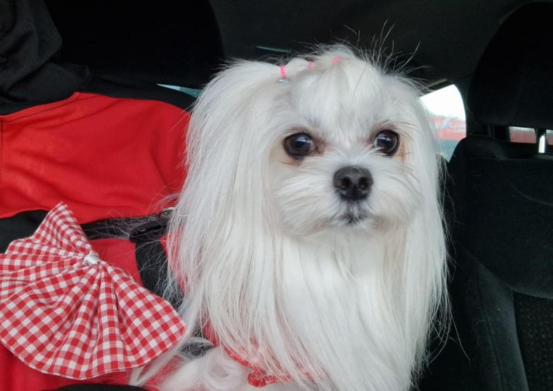 Ulvi2016 uploaded   242  day/s  ago