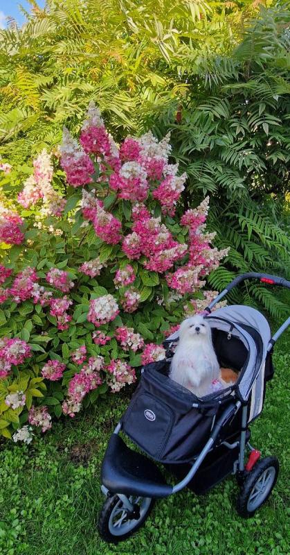 Ulvi2016 uploaded   241  day/s  ago