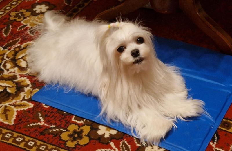 Ulvi2016 uploaded   268  day/s  ago