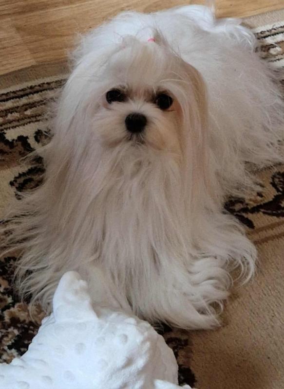 Ulvi2016 uploaded   223  day/s  ago