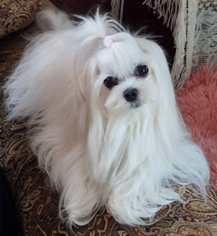 Ulvi2016 uploaded   234  day/s  ago