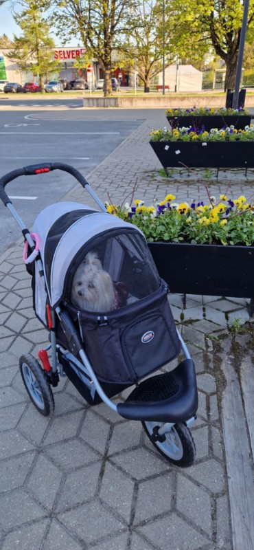 Ulvi2016 uploaded   345  day/s  ago