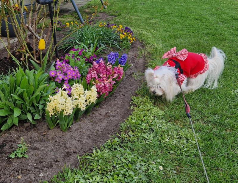 Ulvi2016 uploaded   362  day/s  ago