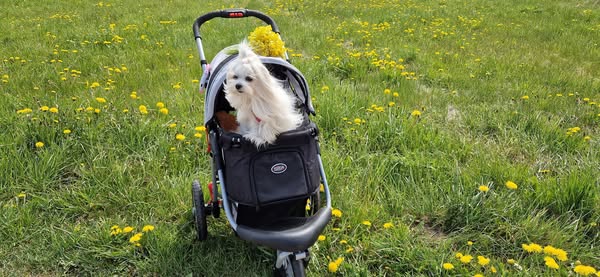 Ulvi2016 uploaded   340  day/s  ago