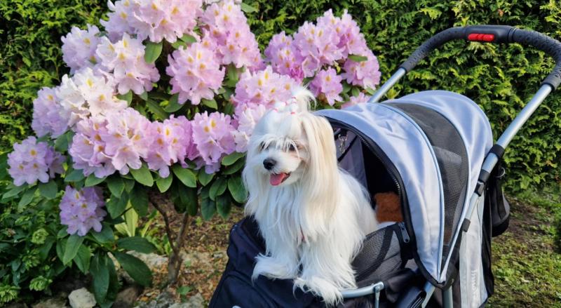 Ulvi2016 uploaded   316  day/s  ago