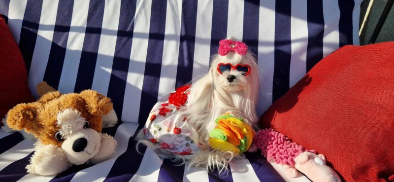 Ulvi2016 uploaded   300  day/s  ago