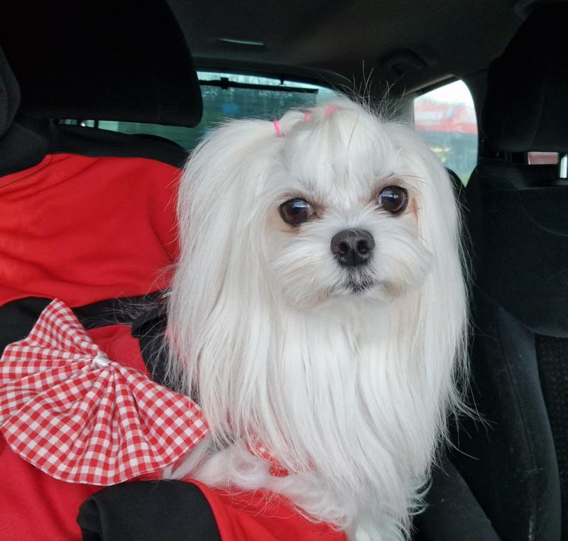 Ulvi2016 uploaded   242  day/s  ago