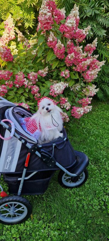 Ulvi2016 uploaded   241  day/s  ago