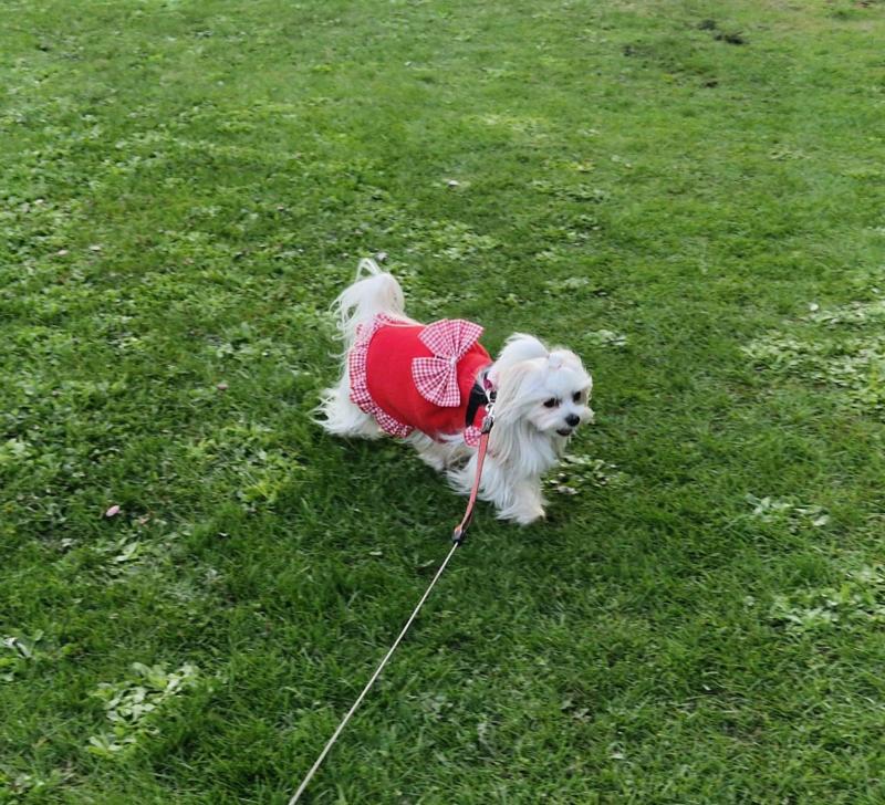 Ulvi2016 uploaded   362  day/s  ago