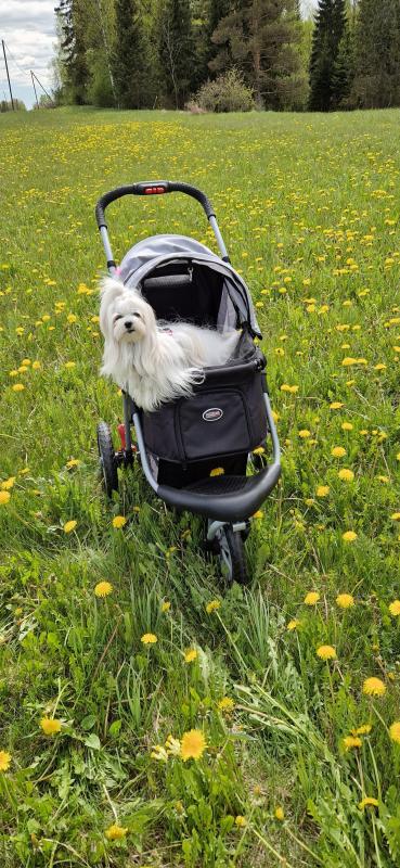 Ulvi2016 uploaded   340  day/s  ago