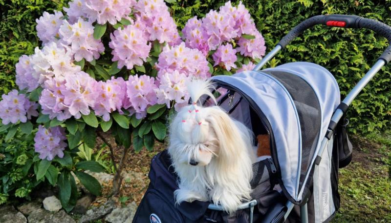 Ulvi2016 uploaded   316  day/s  ago