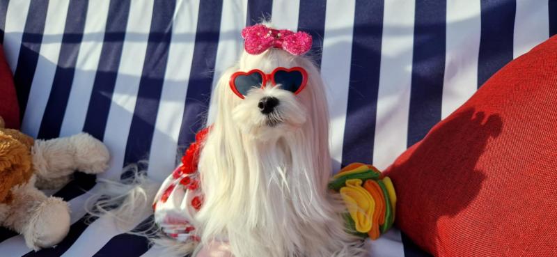 Ulvi2016 uploaded   300  day/s  ago