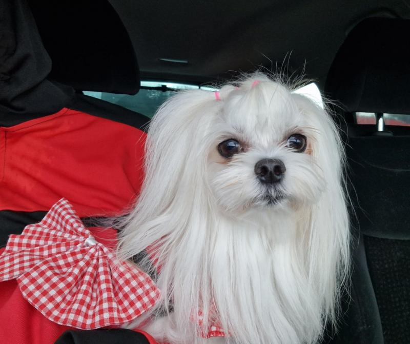 Ulvi2016 uploaded   169  day/s  ago