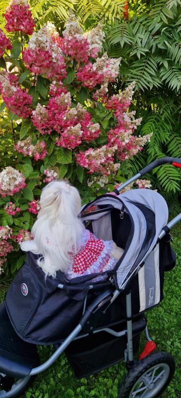 Ulvi2016 uploaded   241  day/s  ago