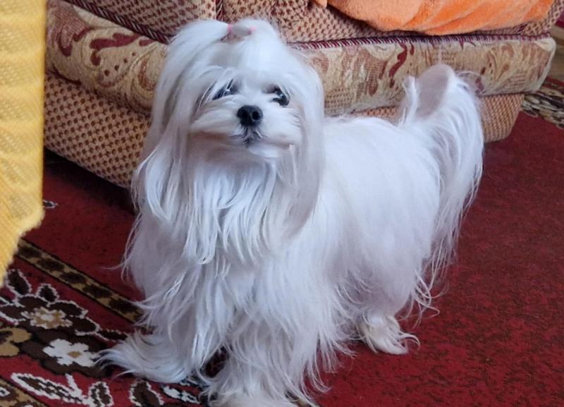 Ulvi2016 uploaded   353  day/s  ago