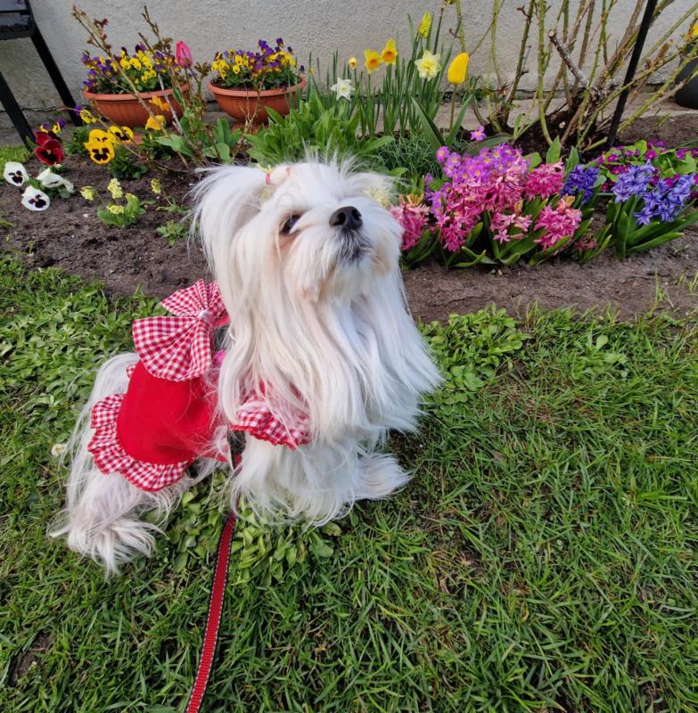 Ulvi2016 uploaded   362  day/s  ago