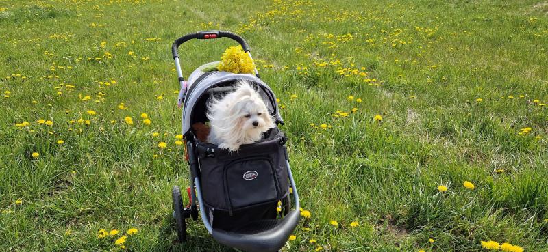 Ulvi2016 uploaded   340  day/s  ago