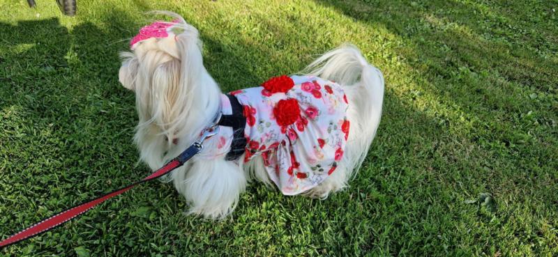 Ulvi2016 uploaded   300  day/s  ago