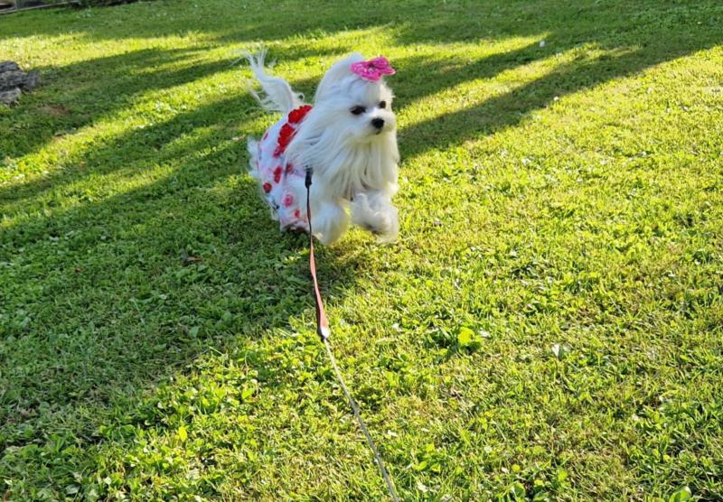 Ulvi2016 uploaded   300  day/s  ago