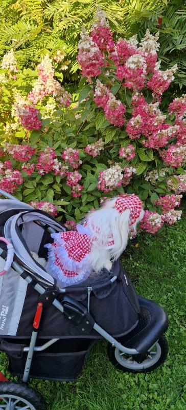 Ulvi2016 uploaded   241  day/s  ago