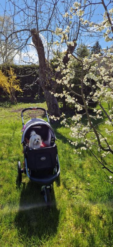 Ulvi2016 uploaded   353  day/s  ago