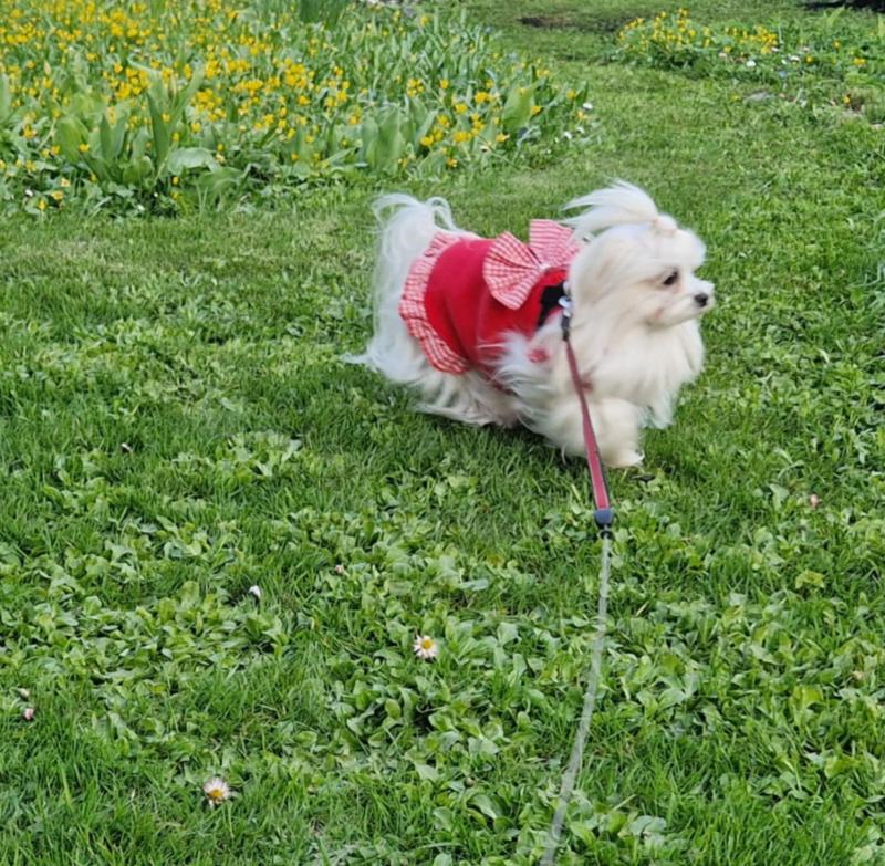 Ulvi2016 uploaded   362  day/s  ago