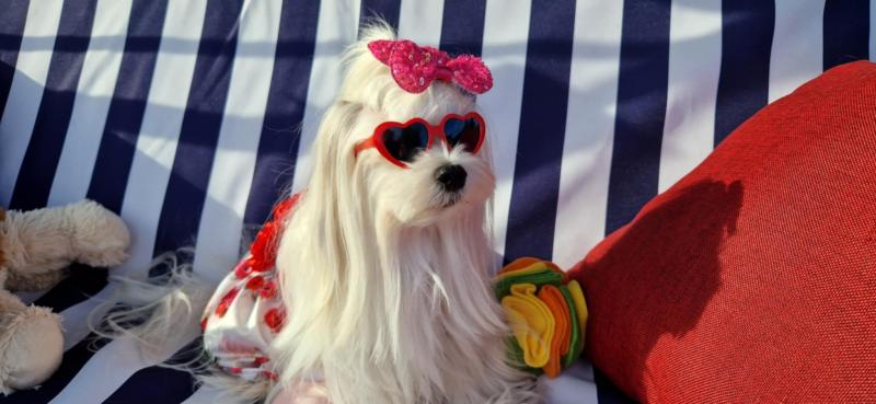 Ulvi2016 uploaded   300  day/s  ago