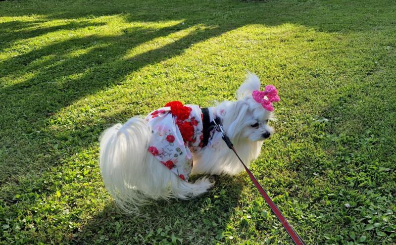 Ulvi2016 uploaded   300  day/s  ago