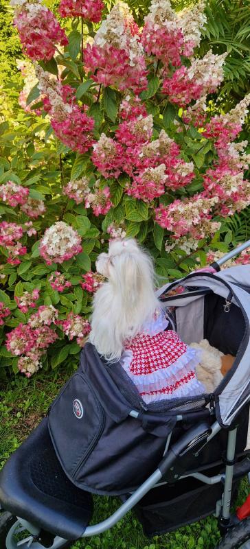 Ulvi2016 uploaded   241  day/s  ago