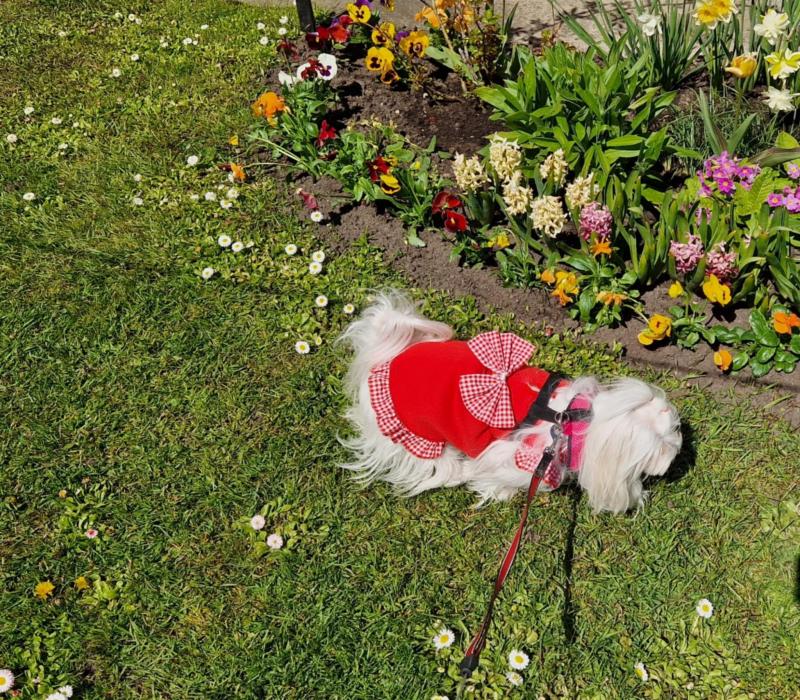 Ulvi2016 uploaded   353  day/s  ago