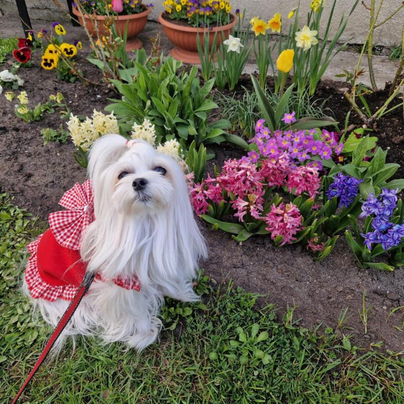 Ulvi2016 uploaded   362  day/s  ago