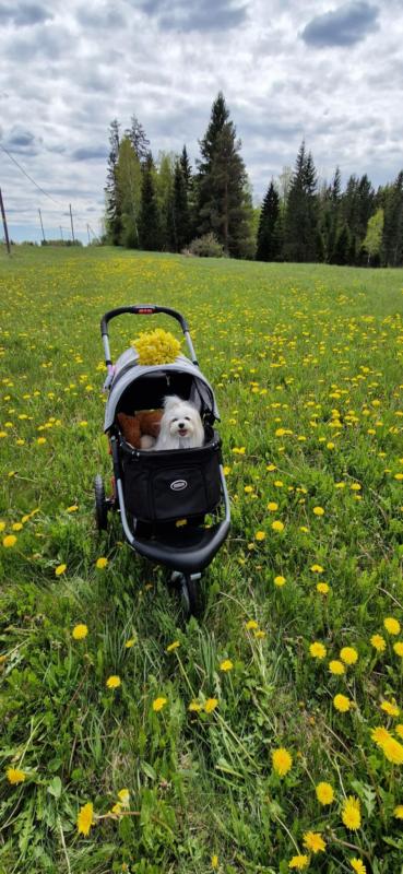 Ulvi2016 uploaded   340  day/s  ago