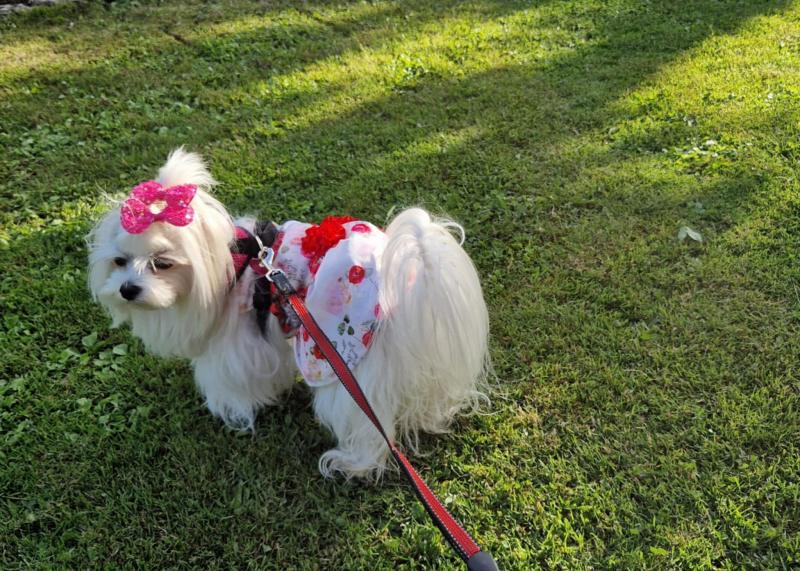 Ulvi2016 uploaded   300  day/s  ago