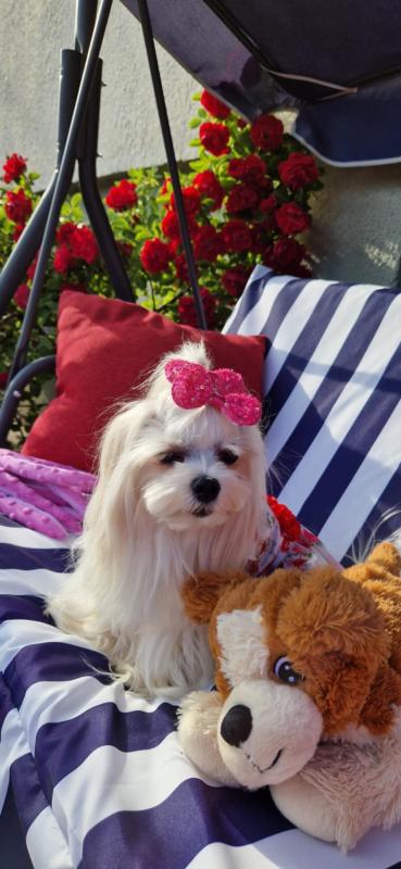 Ulvi2016 uploaded   300  day/s  ago