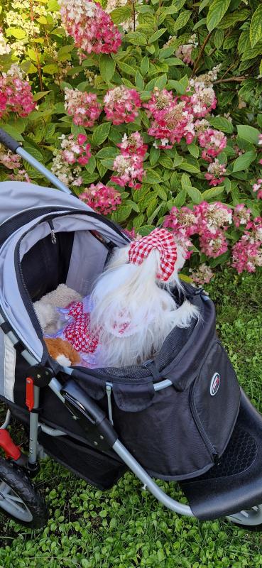 Ulvi2016 uploaded   241  day/s  ago