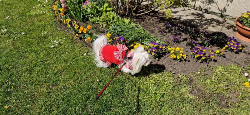 Ulvi2016 uploaded   353  day/s  ago