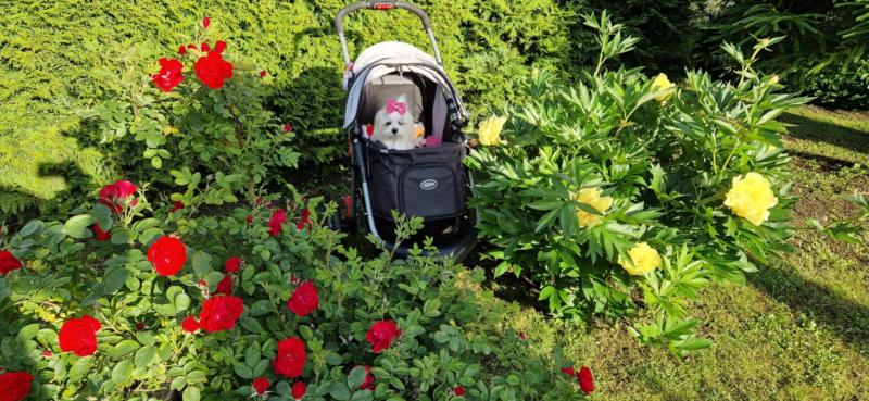 Ulvi2016 uploaded   300  day/s  ago