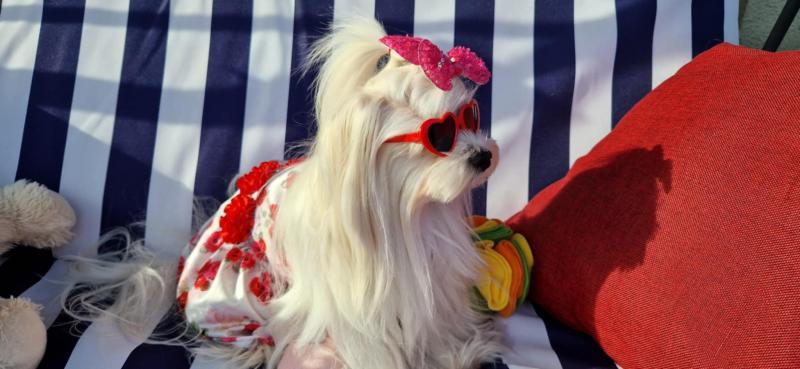 Ulvi2016 uploaded   300  day/s  ago