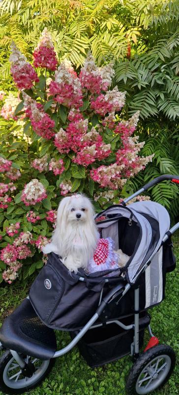 Ulvi2016 uploaded   241  day/s  ago