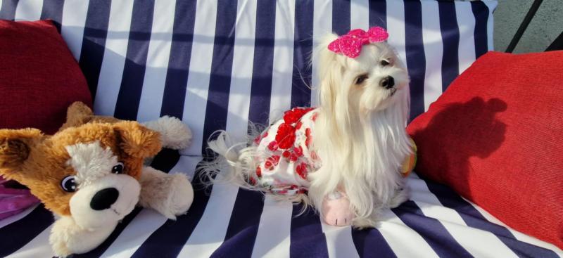 Ulvi2016 uploaded   300  day/s  ago