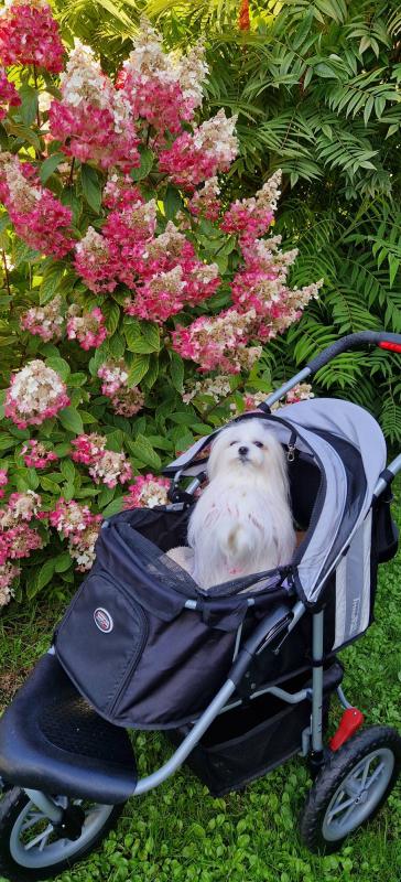 Ulvi2016 uploaded   241  day/s  ago