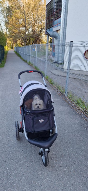 Ulvi2016 uploaded   345  day/s  ago