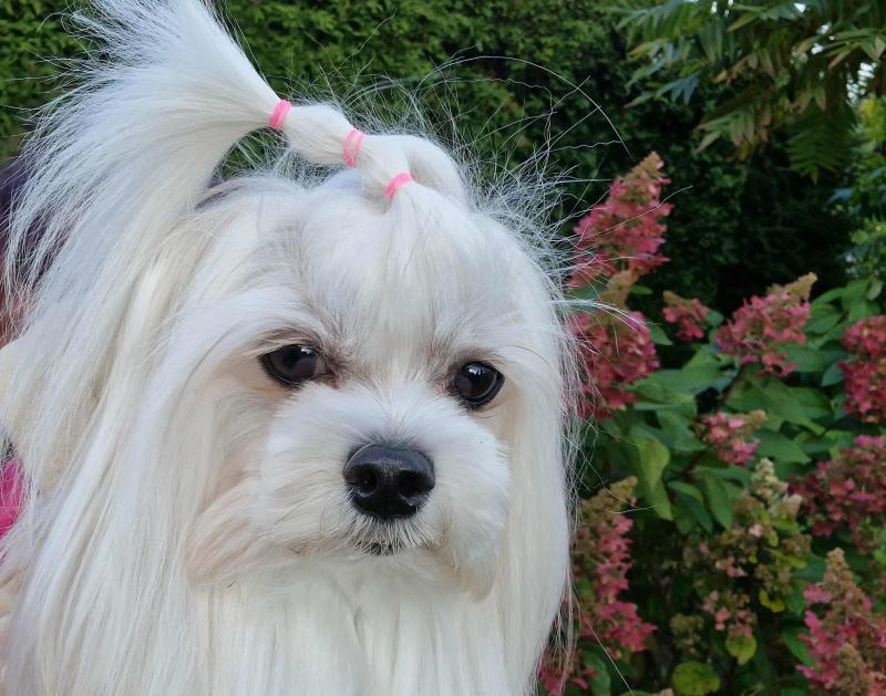 Ulvi2016 uploaded   121  day/s  ago