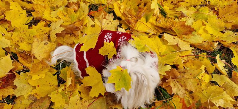 Ulvi2016 uploaded   185  day/s  ago