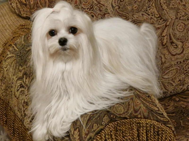 Ulvi2016 uploaded   178  day/s  ago