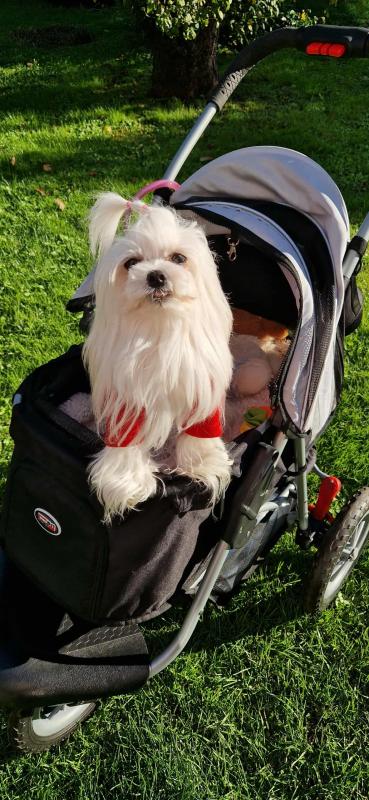 Ulvi2016 uploaded   201  day/s  ago