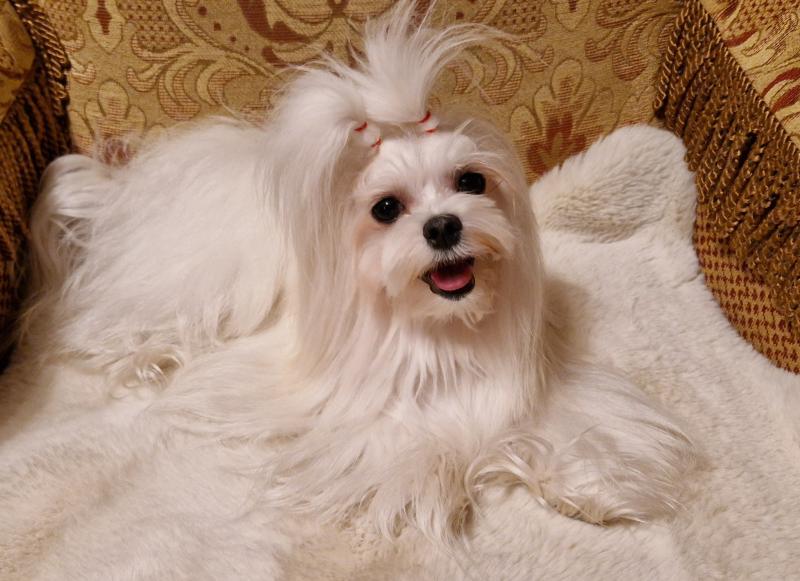 Ulvi2016 uploaded   157  day/s  ago