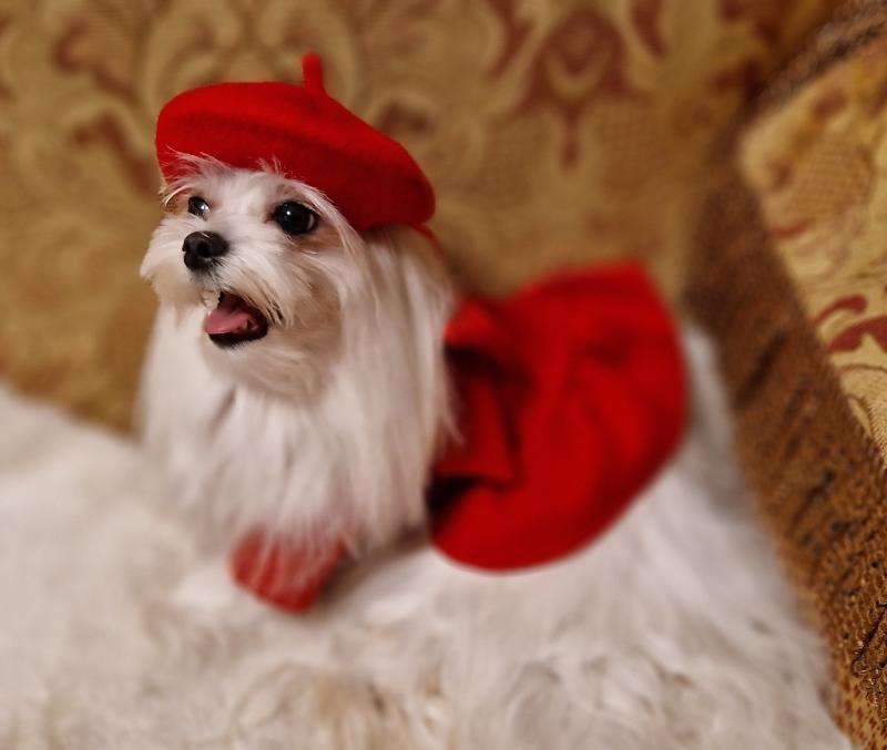 Ulvi2016 uploaded   157  day/s  ago