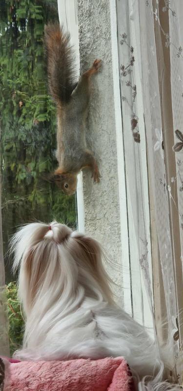 Ulvi2016 uploaded   156  day/s  ago